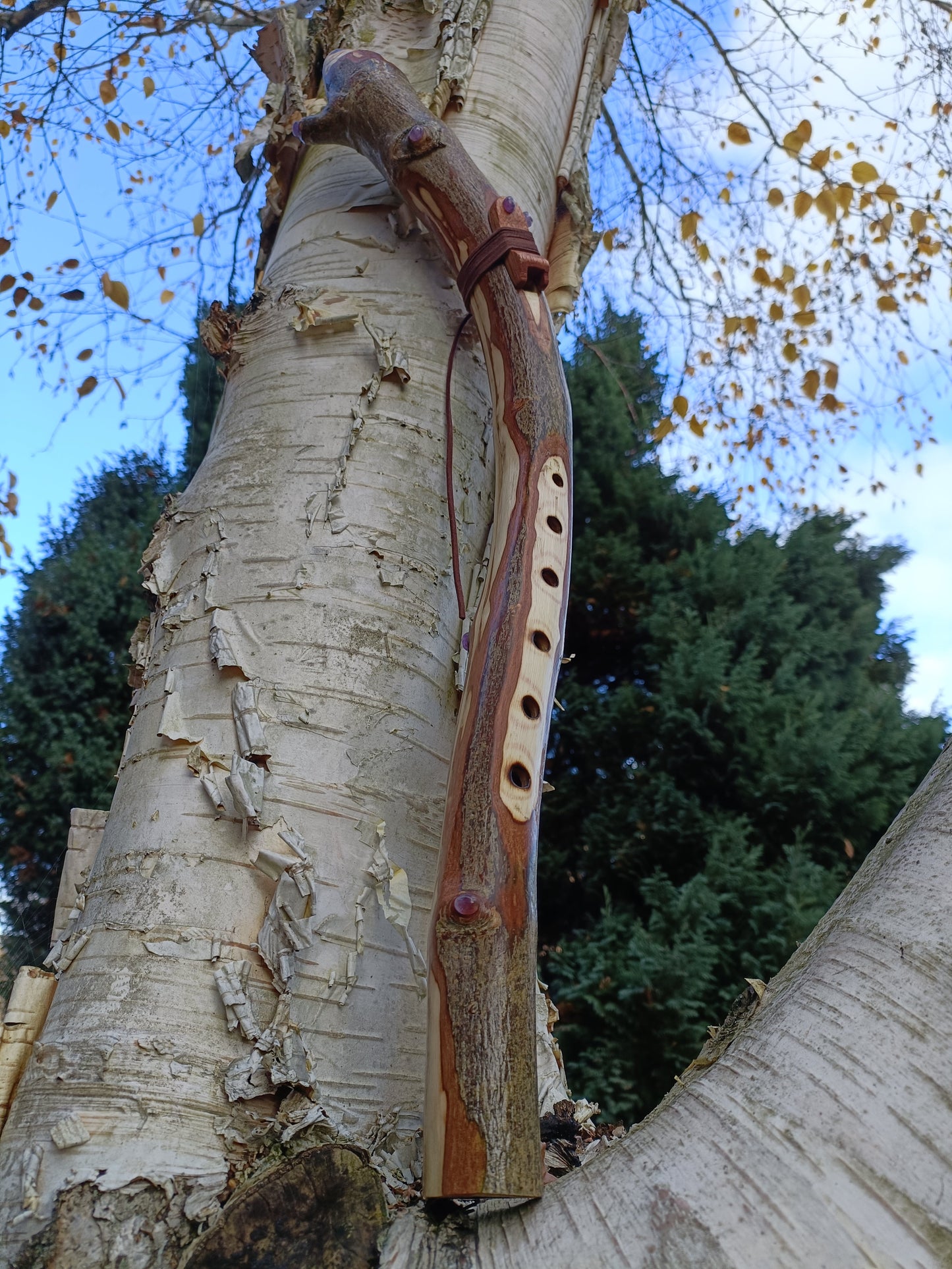Custom made to order - Handmade Native American Style Branch Flute (Key of D)