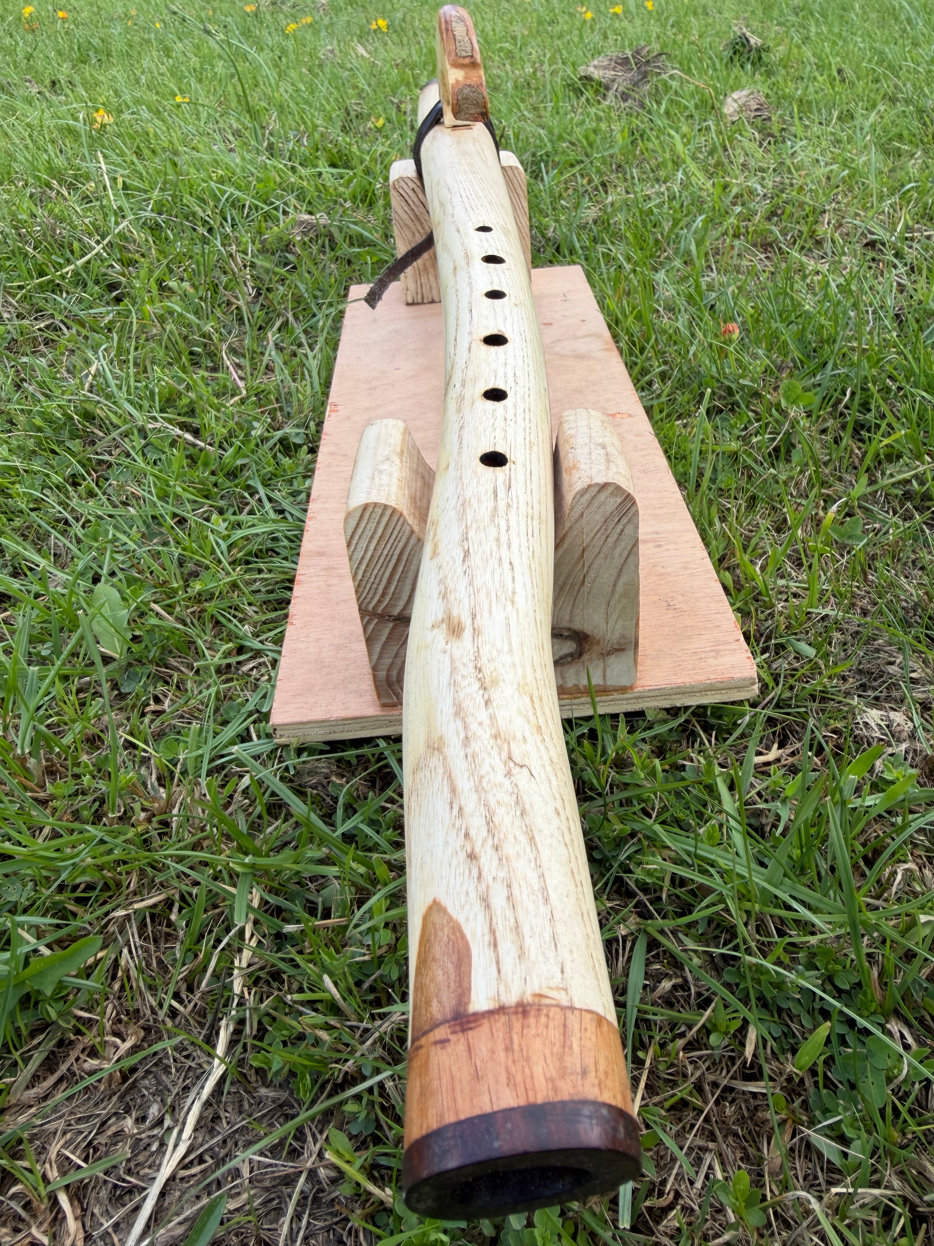 Custom Signature Available now! Handcrafted Native Style branch Flute (Key of F#) Ash wood