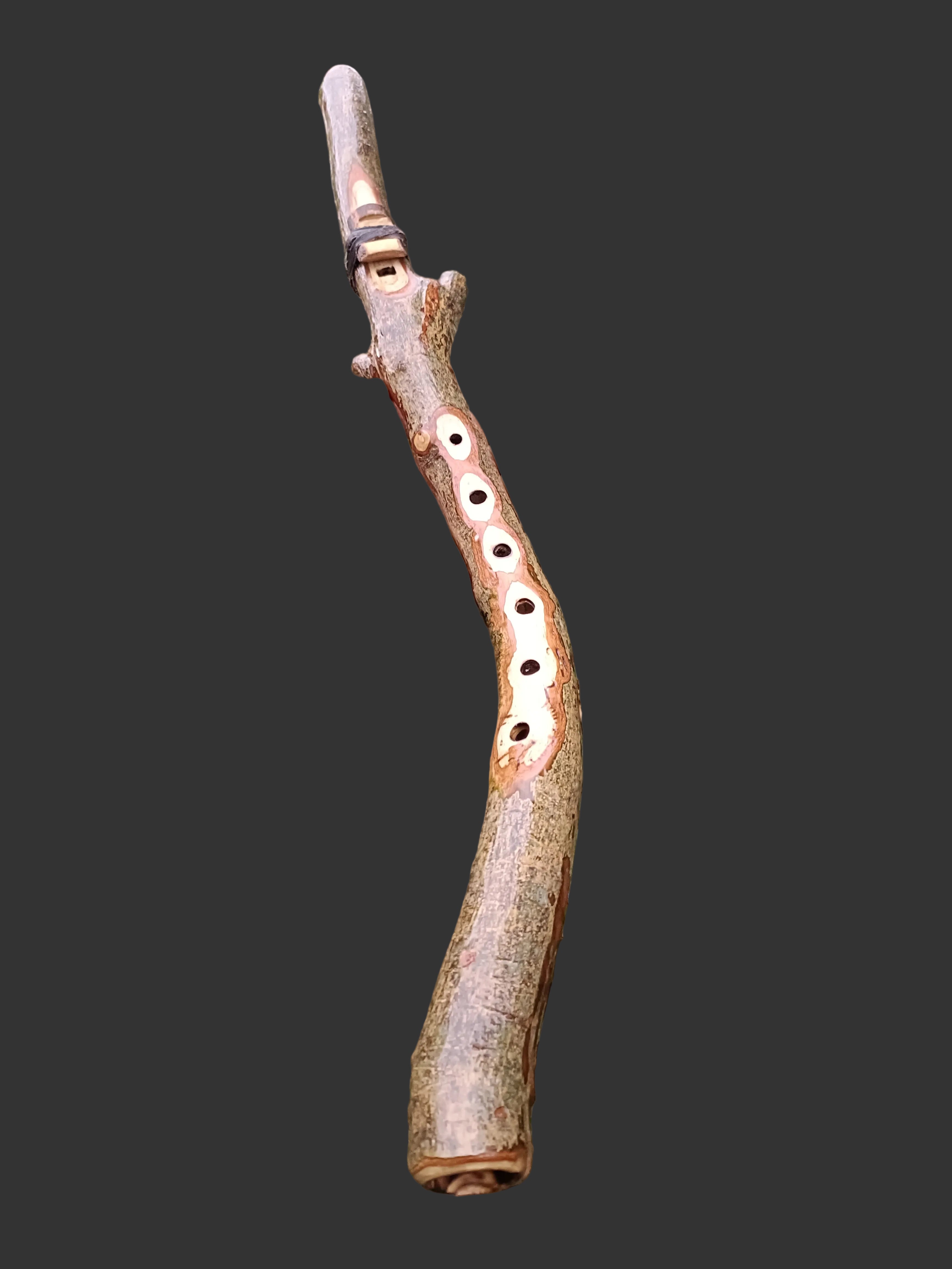 Custom made to order - Handmade Native American Style Branch Flute (Key of F)