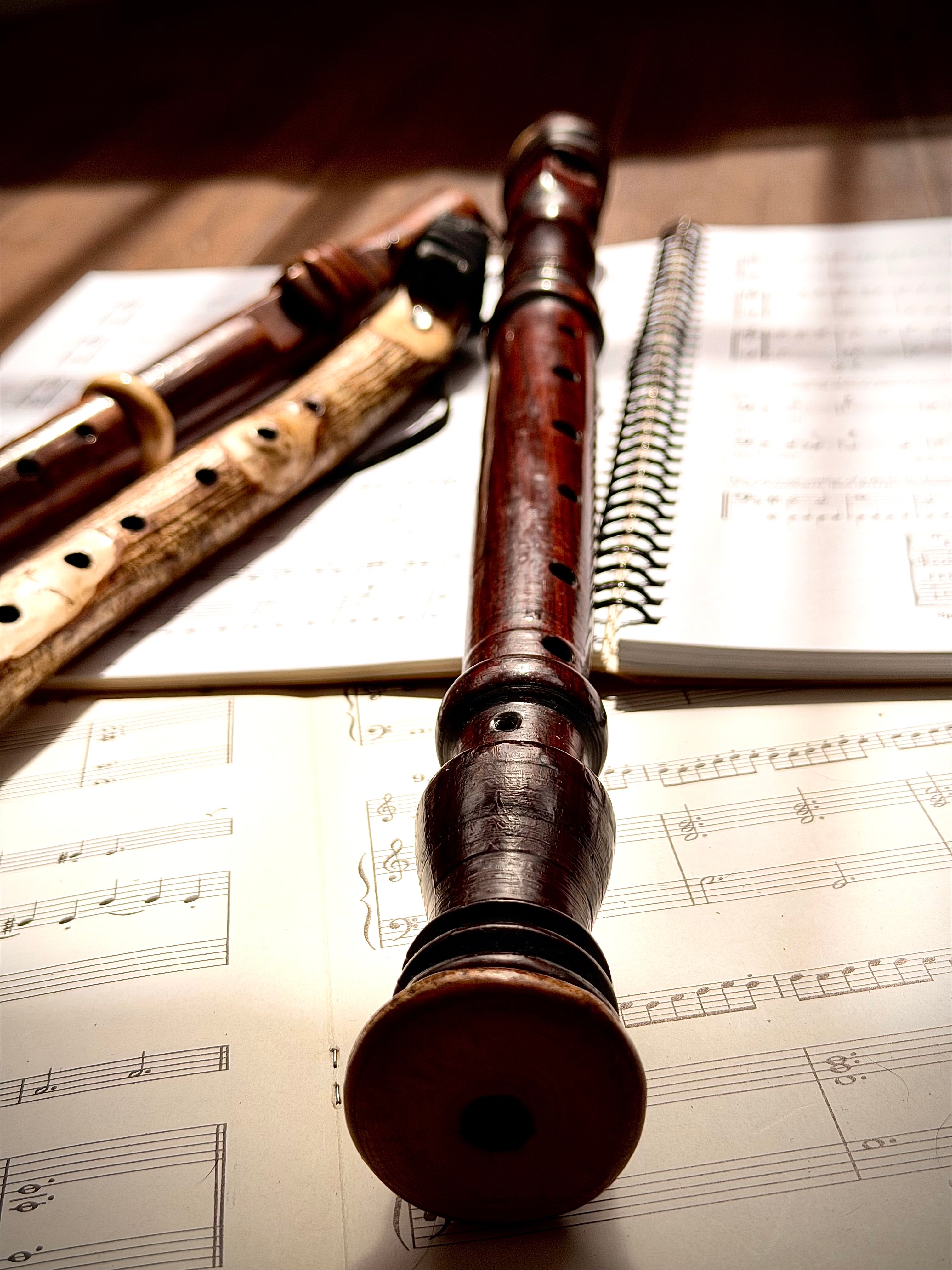 Signature hybrid Alto 8 holed Recorder flute(Key of F 440hz) made byto order